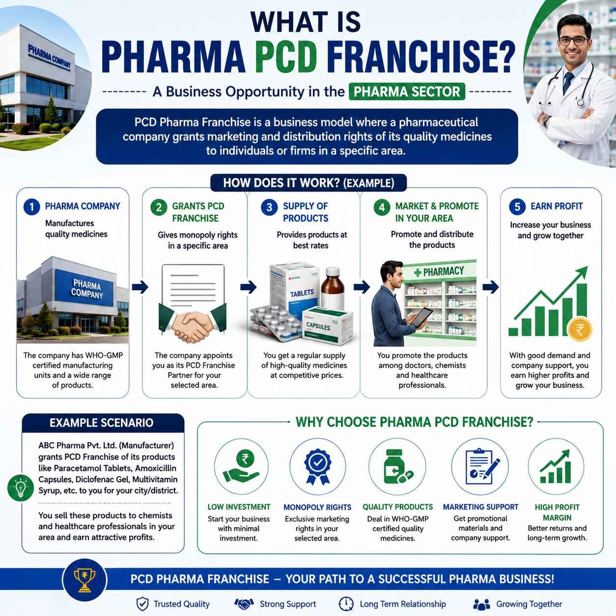 PCD Pharma Franchise Example